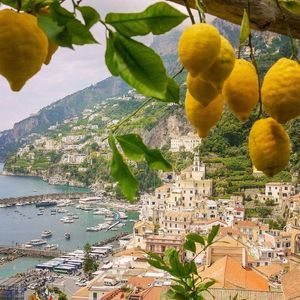 Meet your Posher, Joy